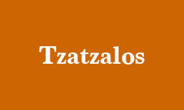 website-spacial-artist-tzatzalos